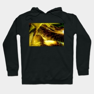 Melted Abstract Kiwis Hoodie